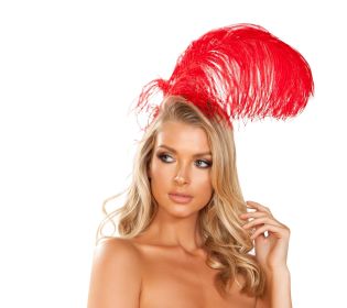 Plume Elegance Feather Headband