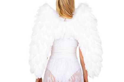 Opulent Feathered Wings