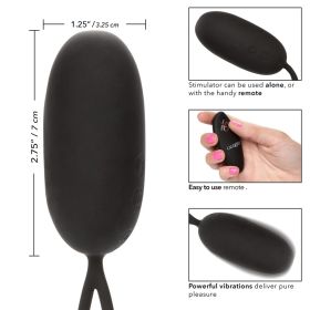 Ecstasy Egg™ Remote Stimulator