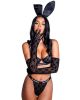 Playboy Bunny Noir Elegance Set