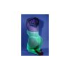 Neon Lace Allure Crotchless Bodystocking