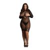 Seductive Net Allure Dress